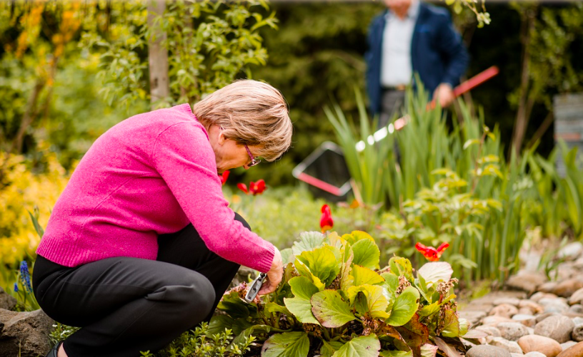 Working in your garden, benefits and suggestions