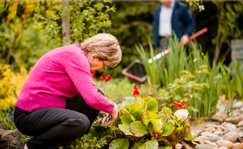 Travailler dans son jardin, bienfaits et conseils