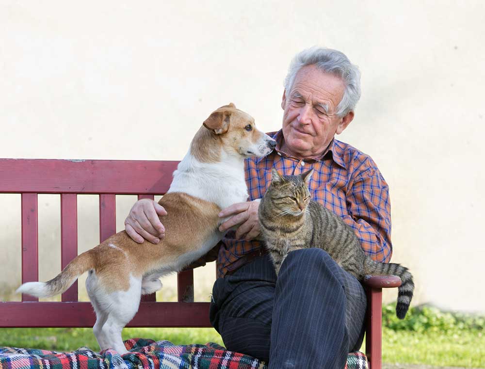 Les seniors et leurs animaux de compagnie