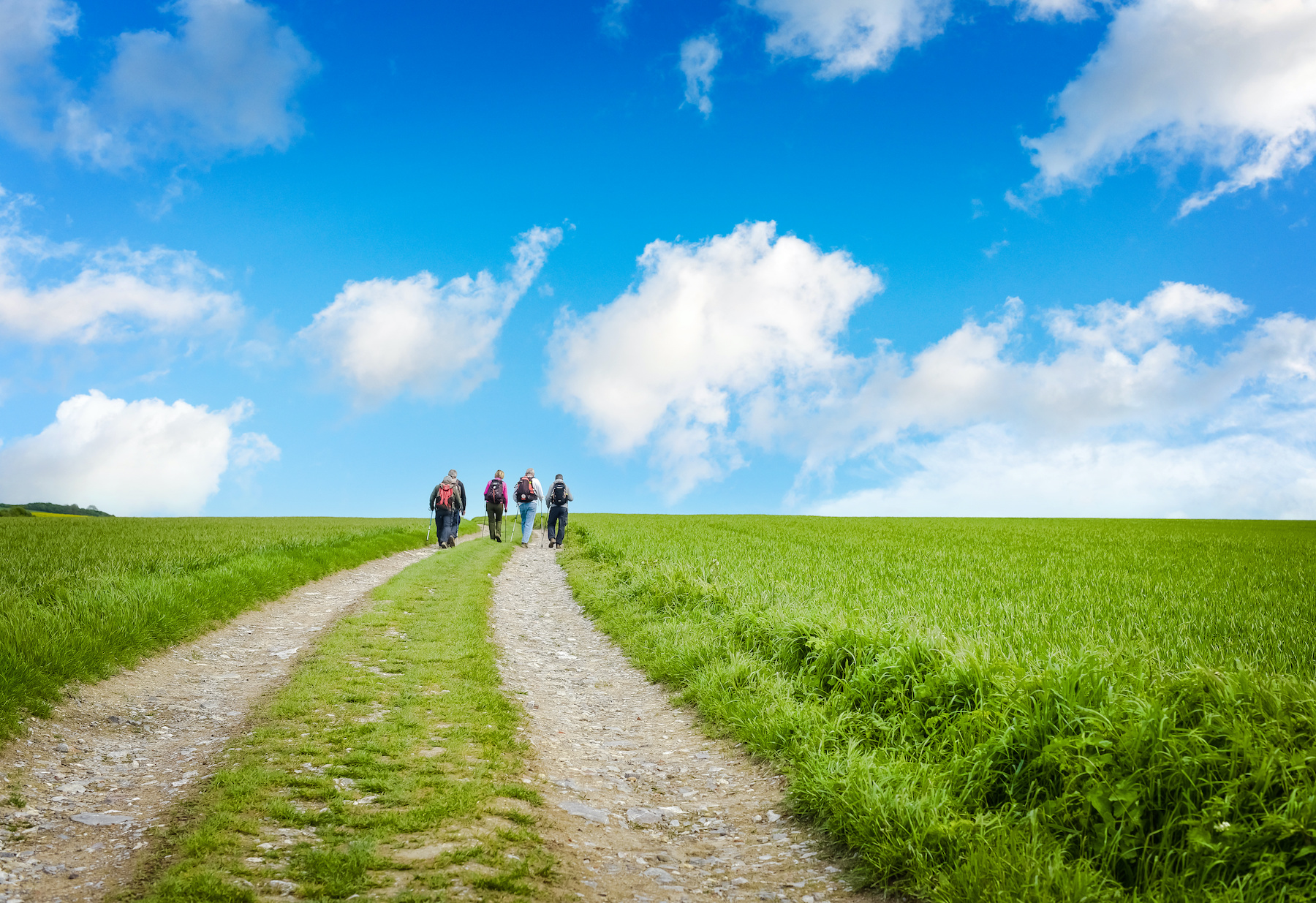 La marche : sport complet et excellent pour la santé 