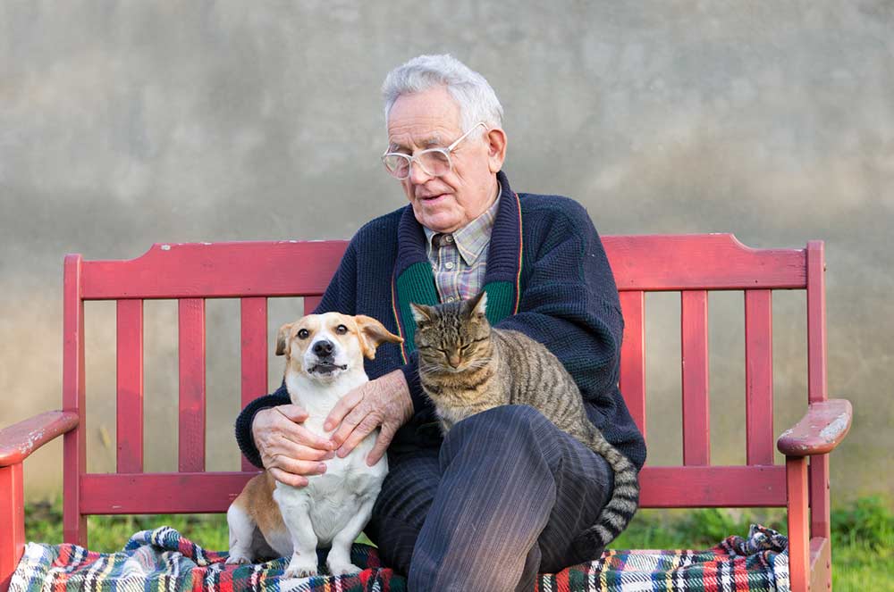 Animaux et seniors